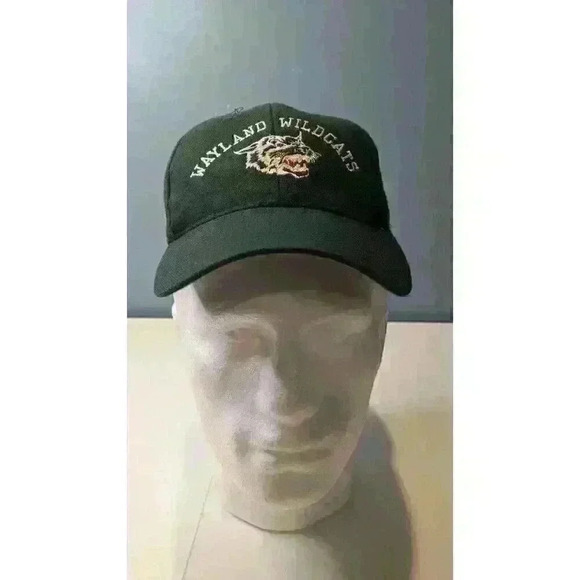 Wayland Wildcats Green Small Medium Fitted Hat - Picture 1 of 11
